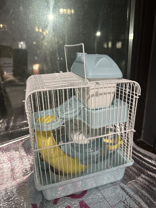 Продается клетка с хомяком + корм