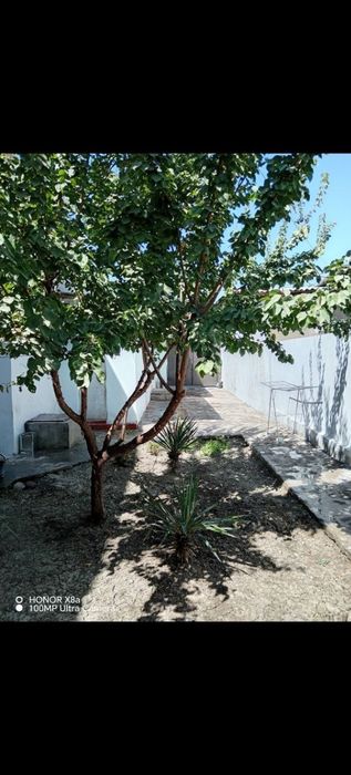 Срочно сдается дом 2 комнаты,2 сотки, Фуд сити.