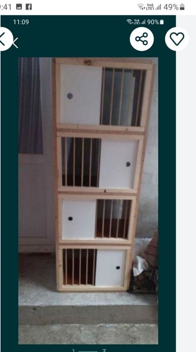 Picior boxa porumbei