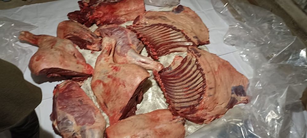 Қасапшы қасапшы қасапшы