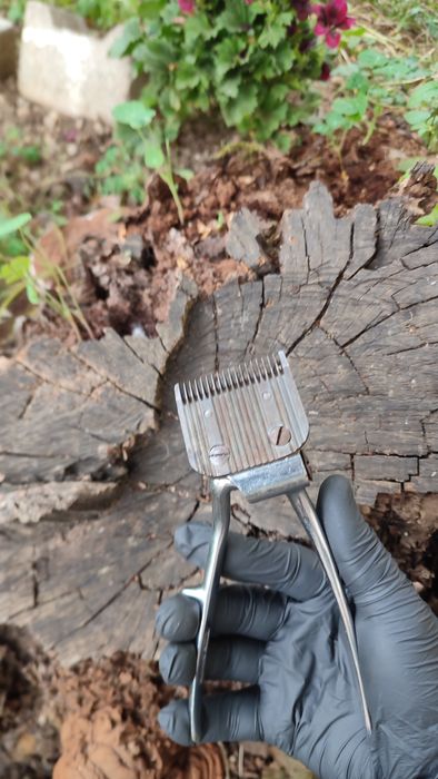 Masina de tuns manuală "Club France"