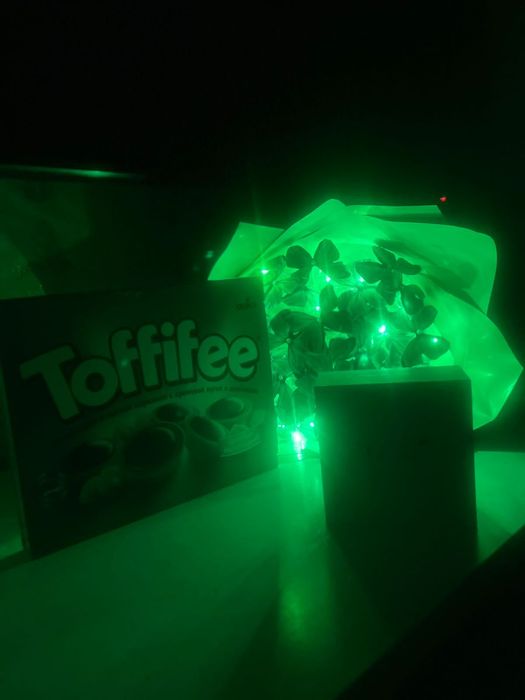 Букет из бабочки  10-100