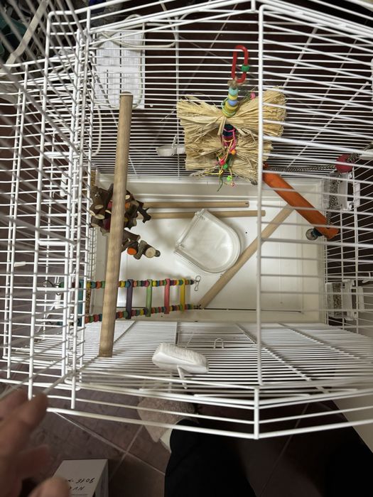 Рещетка для птиц