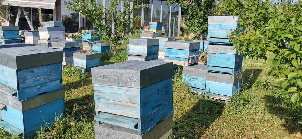 Продавам кошери ДБ, магазини, капаци,10-30€