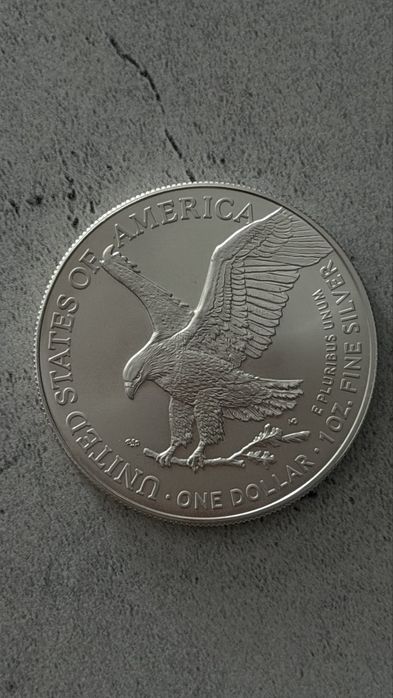Сердрянный доллар США