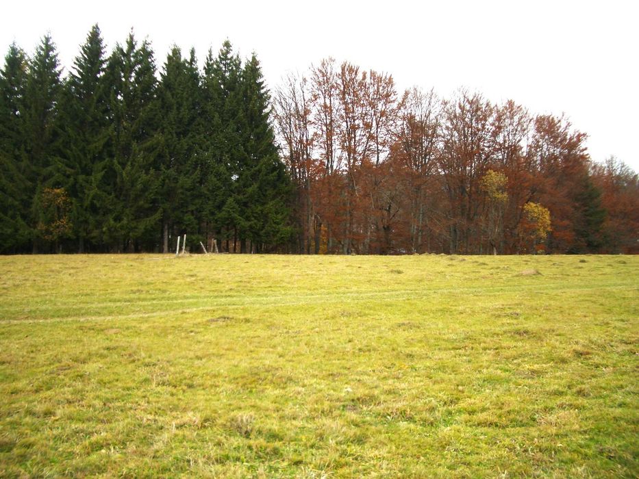 Terenuri intravilan Valea Doftanei 800m2 / 1005m2