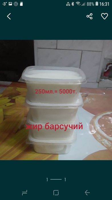 Вязка джек рассел терьер