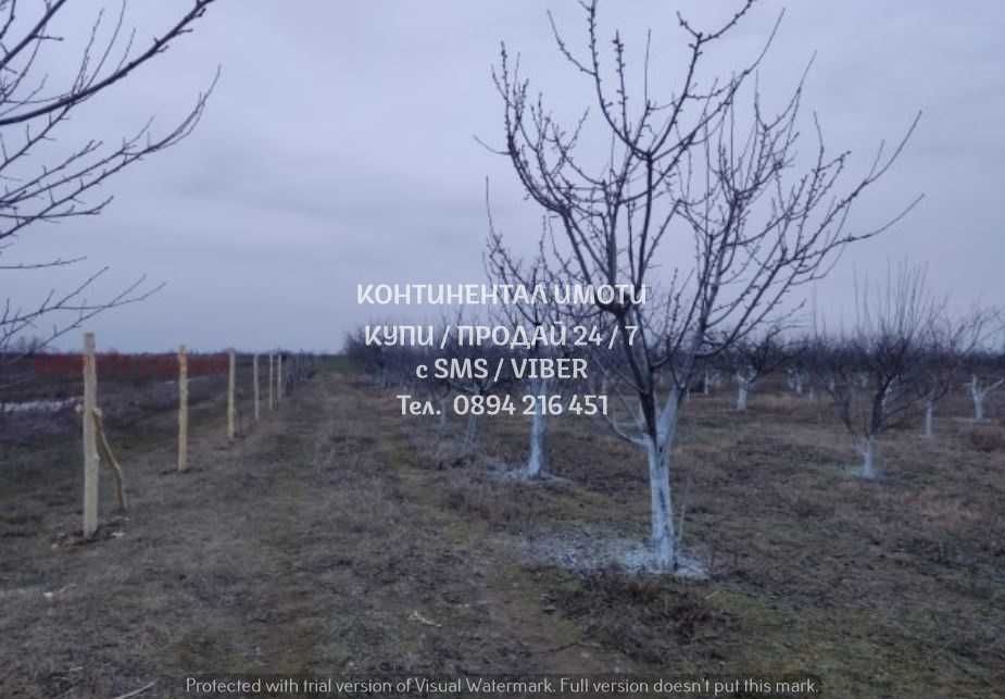 Продава се Земеделски имот в с. Цалапица, Област Пловдив -  кв.м за 4250 €/дка - Снимка #2