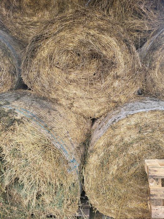 Vând baloți fân, fân amestec cu lucernă.