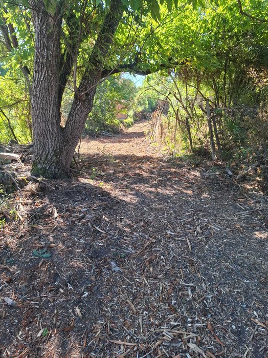 Продава УПИ 1640кв.м. в с. Светля, община Ковачевци