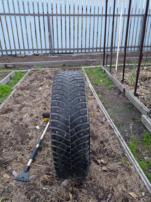 Продам автошины  КАМА 515