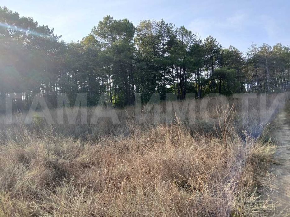 Парцел в местност ”Синетудис”, гр. Созопол