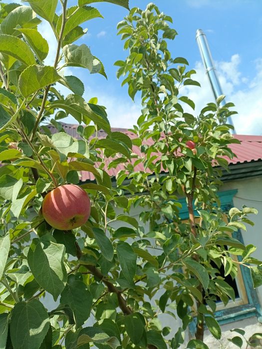Продам дом пос.Красина
