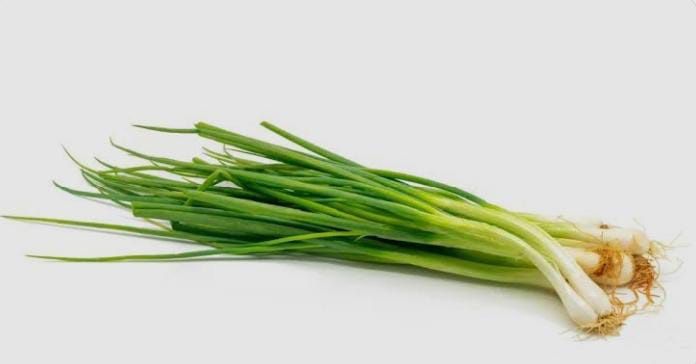 Продам зелёный лук