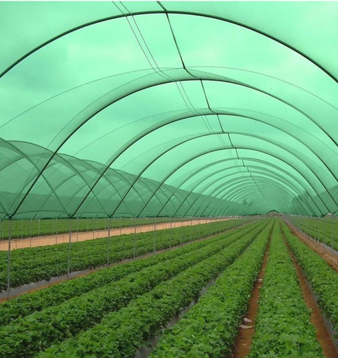 Солнце защитный сетка