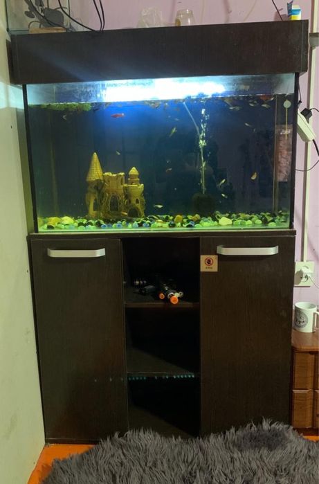 аквариум с тумбой