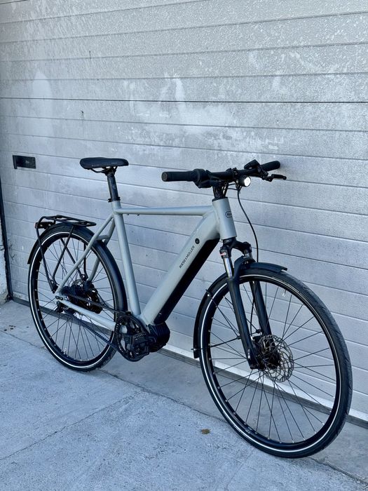 Bicicleta electrica Riese & Muller
