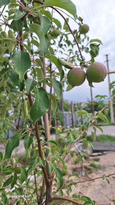 Дом новый, 11 сотки, продам