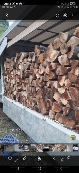 Lemne foc fag și cherestea