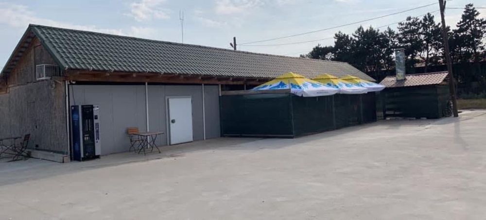 OCAZIE! Teren 9.950m² + afacere funcțională – Dăbuleni, Str. Caracal