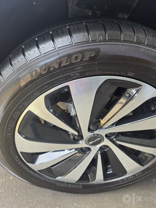 BYD - 2024 Full позиция.