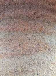 Vand  Uruiala din cereale