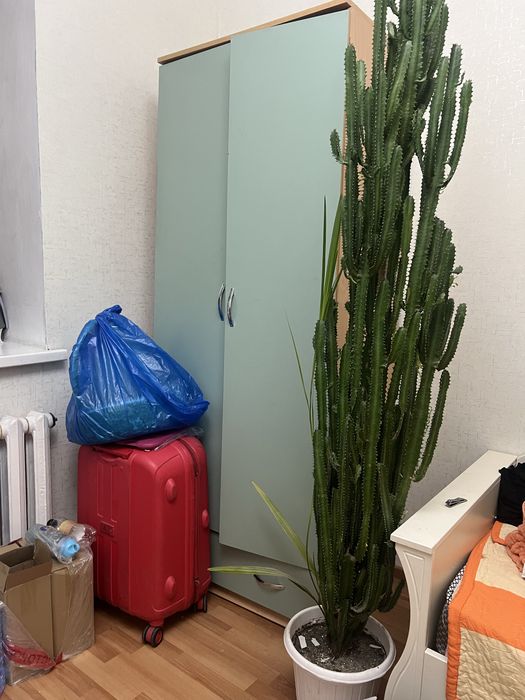 продам шкаф шифоньер