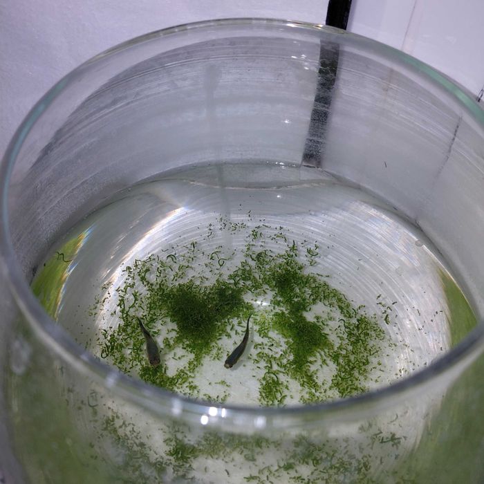 Аквариум сатылады продаеться аквари