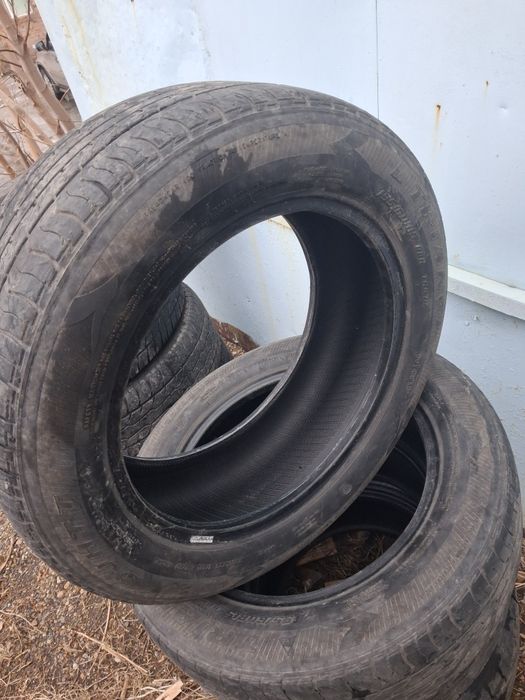 Пролам шины не дорого