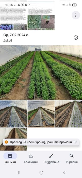 ПРОДАВАМ/ОТДАВАМ  ФЕРМА -зеленчуци,орънжерии инфраструктора