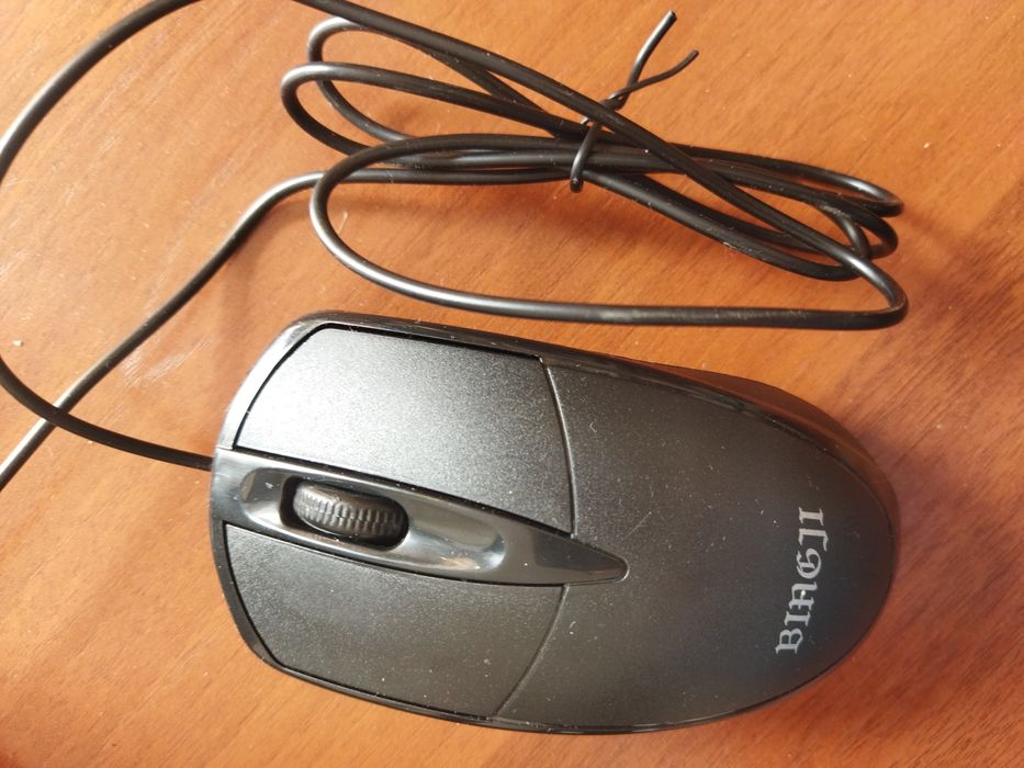 Мышь компьютерная