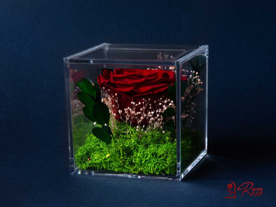 Истинска Вечна Роза в Кутия / Оригинален и Стилен Подарък за Жена