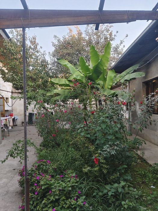 Продам участок Ипподроме