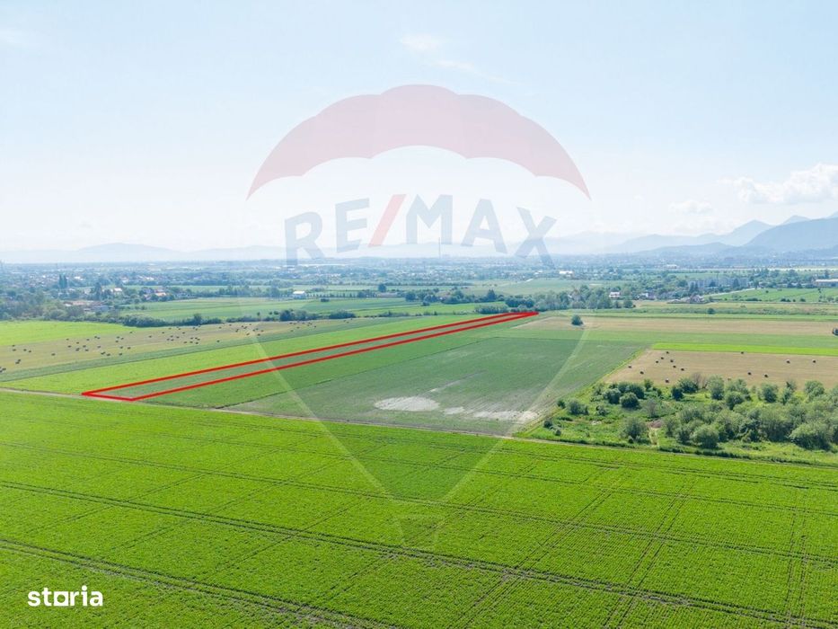 Teren de vânzare 11.500 mp | Ghimbav | Strada Aeroportului