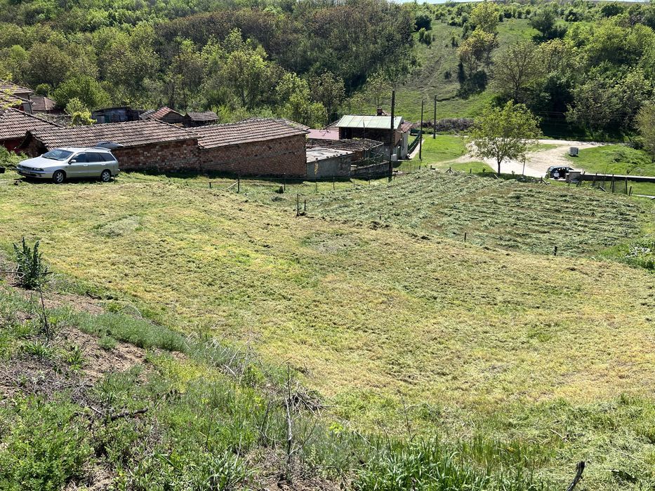 Празно дворно място