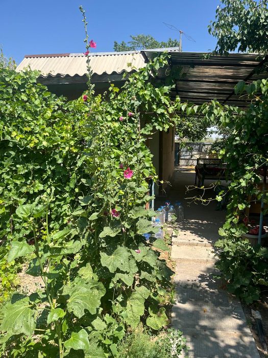 Продам или сдам в аренду дачу ПМК29