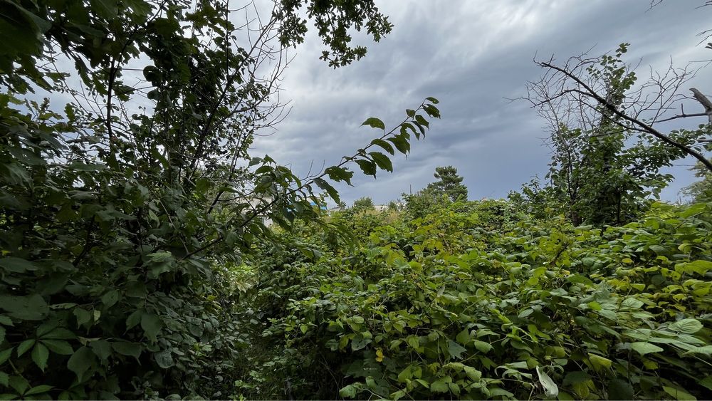 Дача Ақтөбе,Актобе