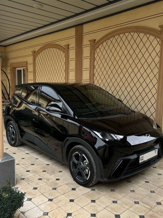 Byd Seagull сотилади