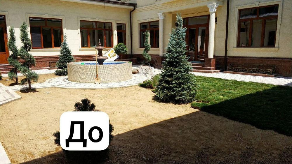 Газон ва гуллар.