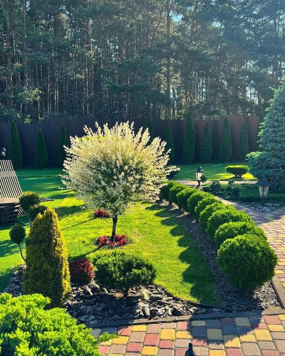 Ландшафтный дизайн, озеленение,посадка газона,проектирование