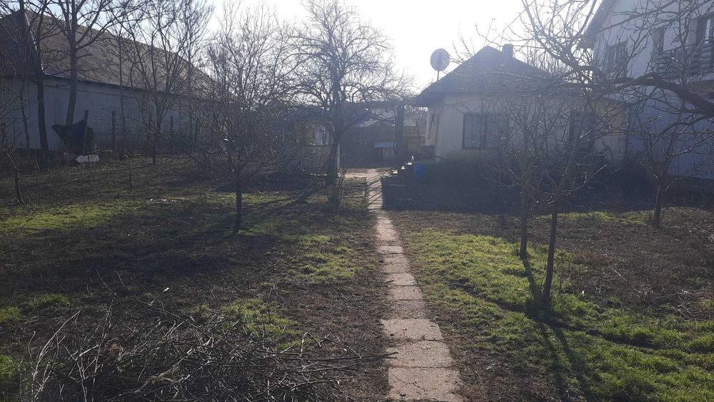 Teren 700 mp strada Tuchiloaia nr 4 casa batraneasca 2 camere Podeni Barlad
