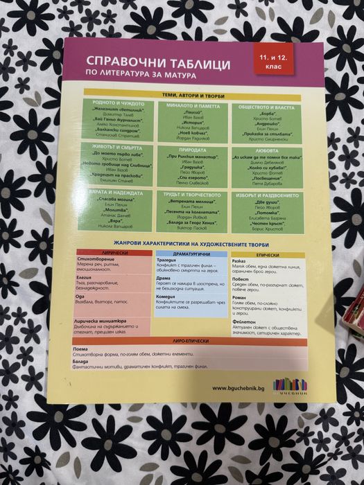 ДЗИ Бел-подготовка