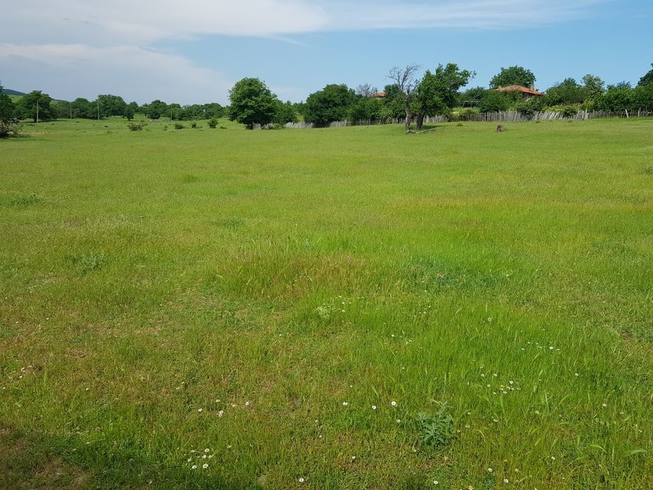 Продавам 6.5 дка двор в регулация в с.Козичино