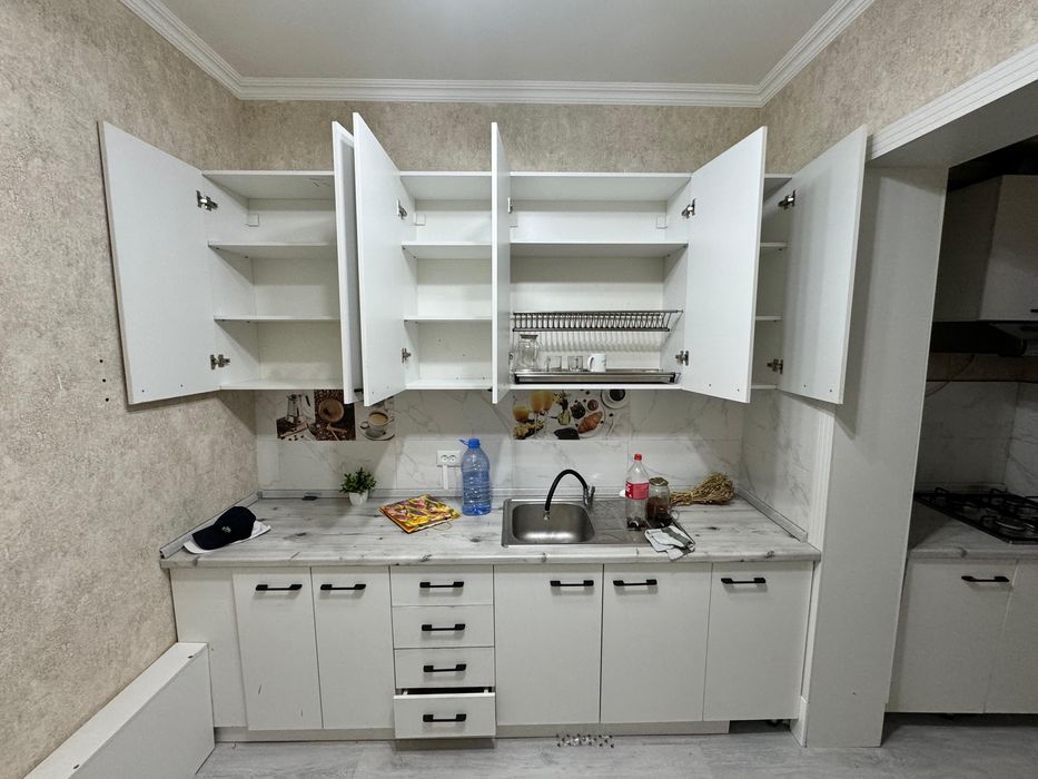 Кухонный гарнитур и дверий