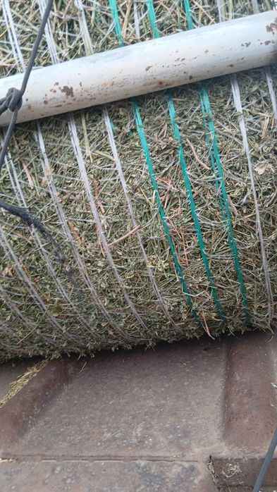 Baloti rotunzi lucerna