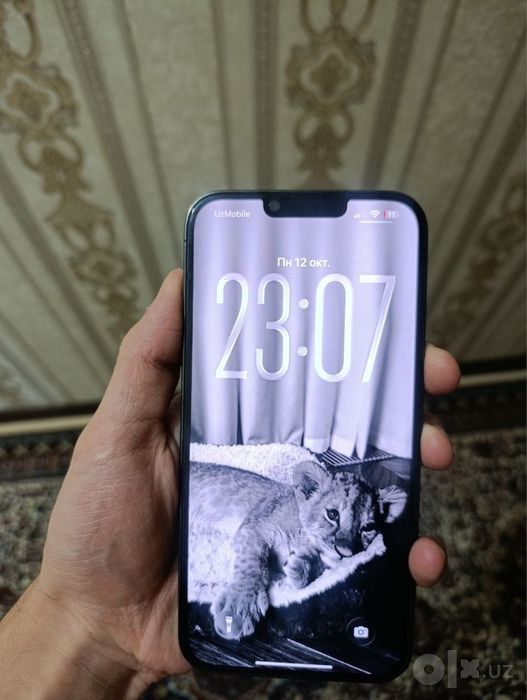 Iphone 13 pro max green