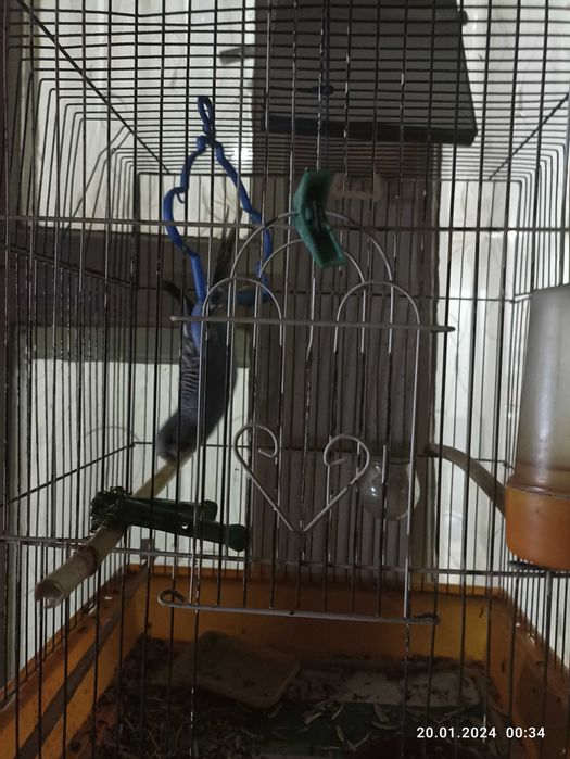 Клетки для кеноров или попугаев