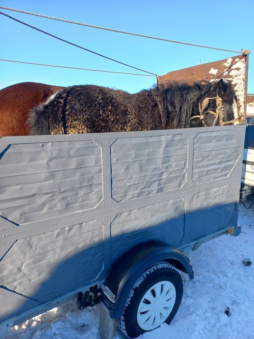 Продам легкокой прицеп