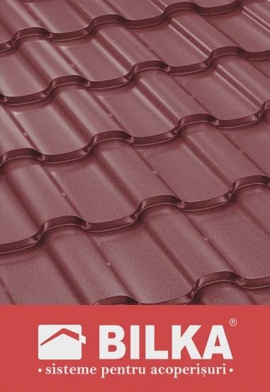 Executam acoperisuri si reparatii