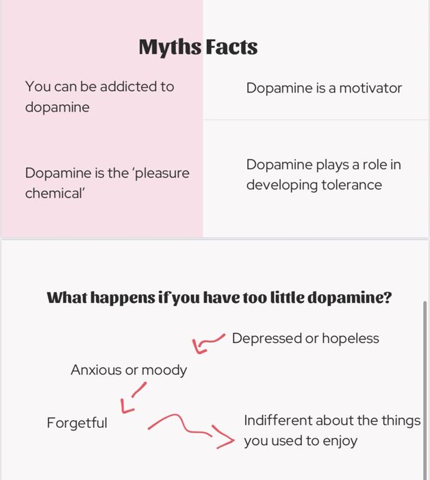 Создание презентаций в Figma и Canva